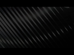 Bichamp introduction